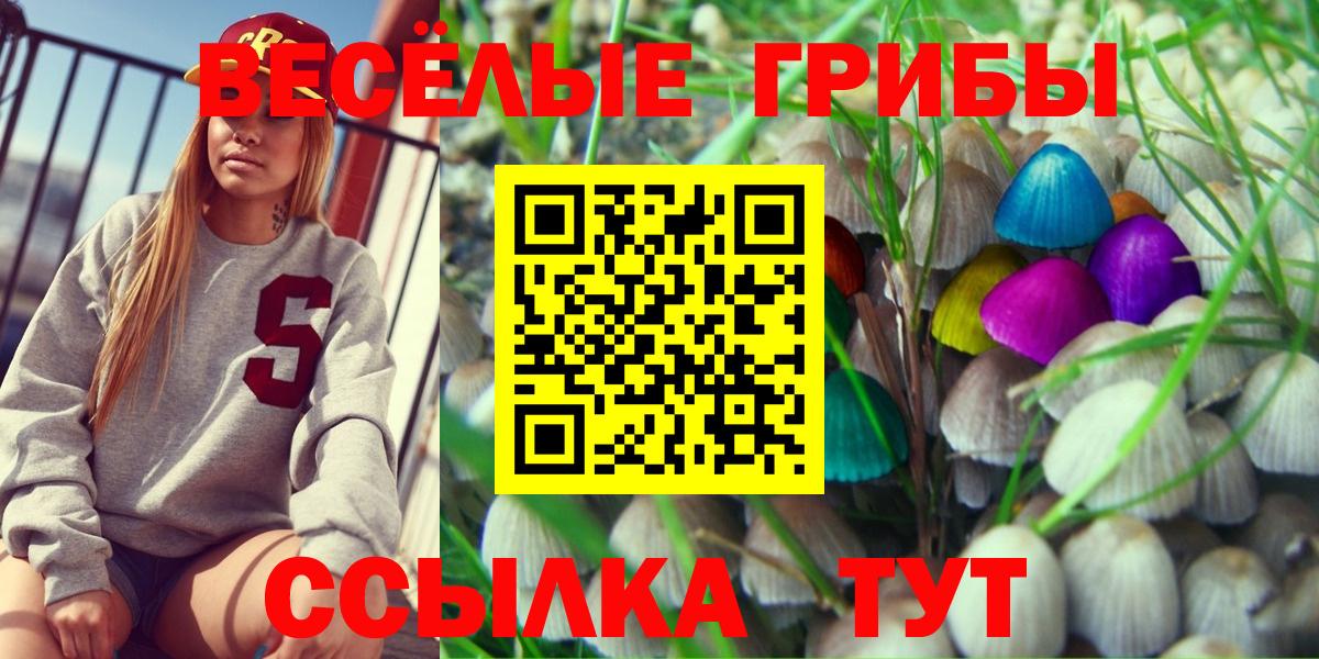 Псилоцибиновые грибы Psilocybine cubensis Тула