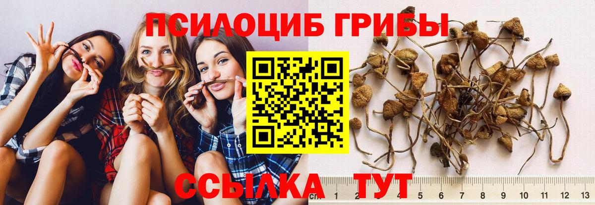 Псилоцибиновые грибы Psilocybe  Псилоцибиновые грибы ЛСД  Вход с VPN  Тула 