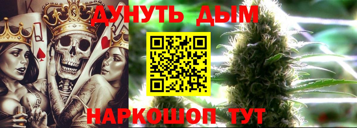 Бошки Шишки планчик Тула